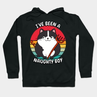 Cute fat Cat is a naughty boy Hoodie